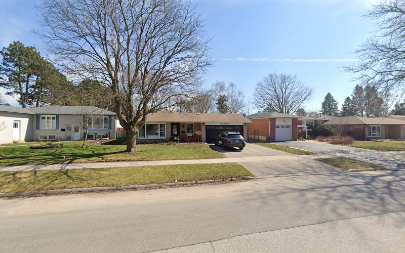Scottish fold kittens for sale