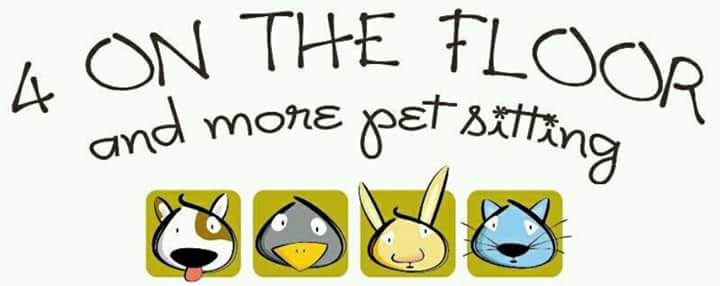 4 on the floor & more pet sitting