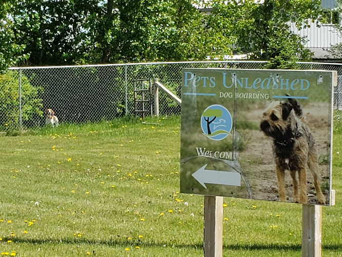 Pets Unleashed