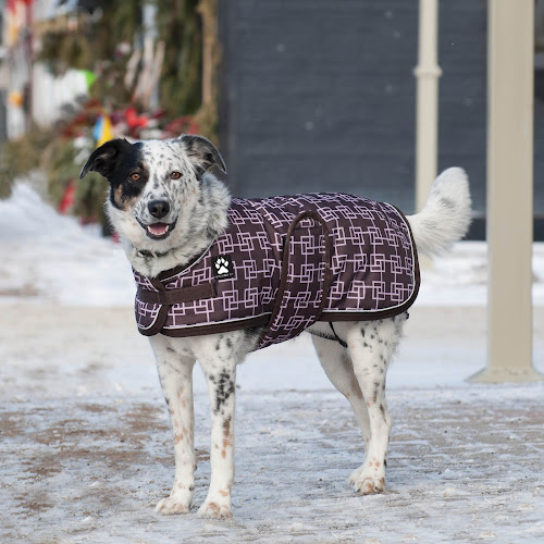 Shedrow K9