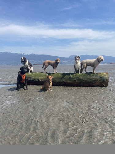 Douglas Fur Pets