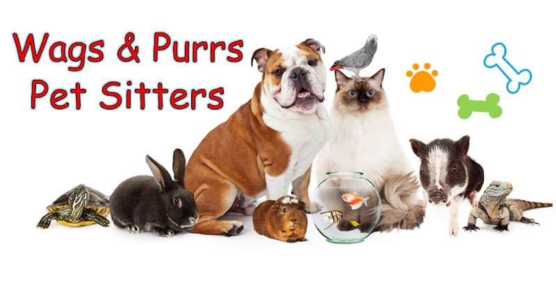 Wags & Purrs Pet Sitters