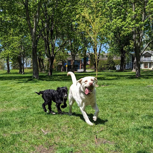 Winter French Canine Training