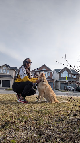 Limitless Pet & Home Care