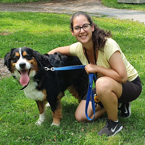 Sunny Dog Training Ottawa