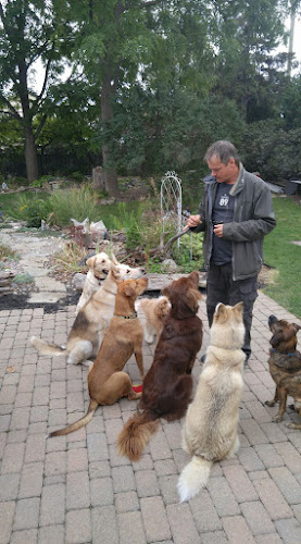 The Dog Talker