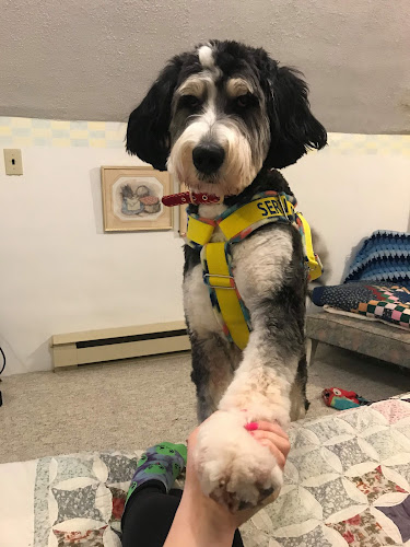 Helping Hounds Working Dogs