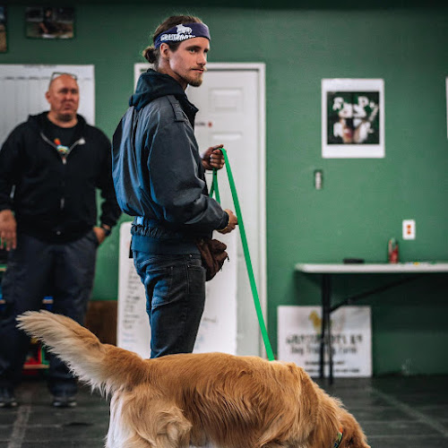 The K9 Classroom