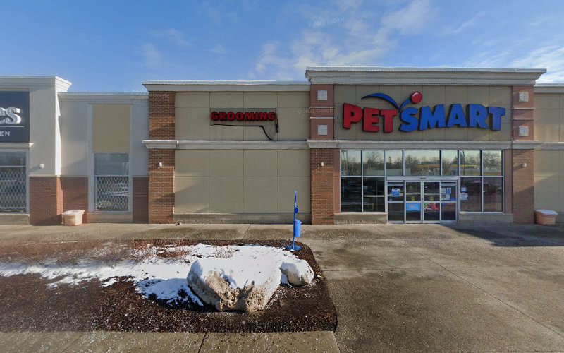PetSmart Dog Training