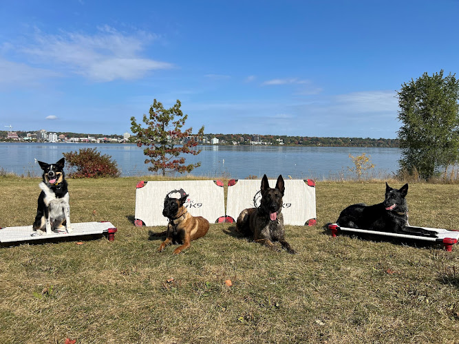 Nordik K9
