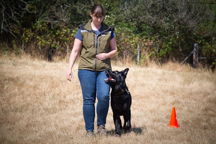 Victoria K9 Sports Academy