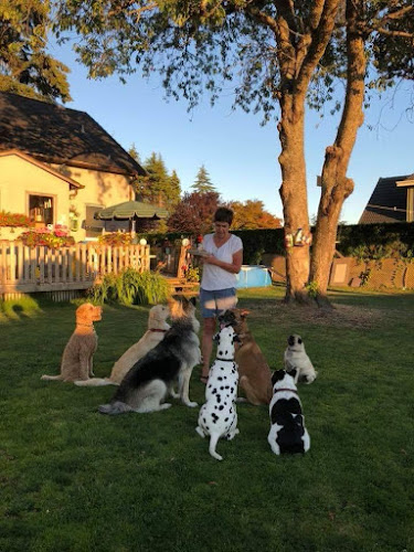 Shelley Smith Dog Training