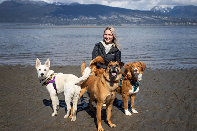 Positive Paws Training