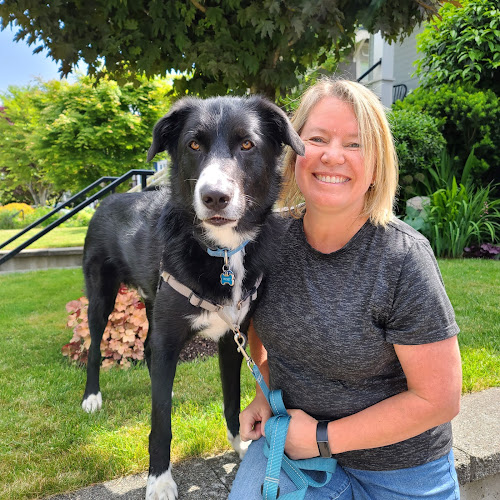 Bark Busters In Home Dog Training – Vancouver Richmond Surrey