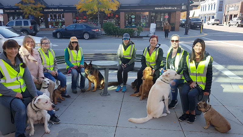 In Training K9 Services