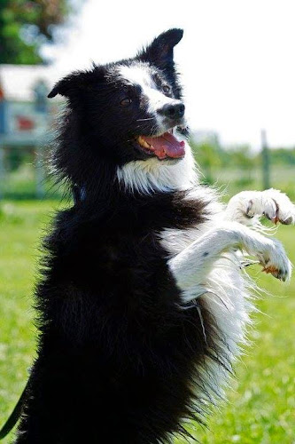 RuffSport