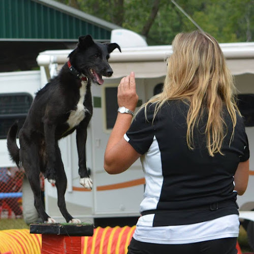 The Ruff House Kennel