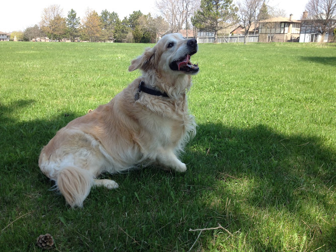 Peace of Mind House and Pet Sitting