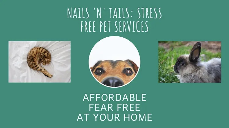Nails N’ Tails