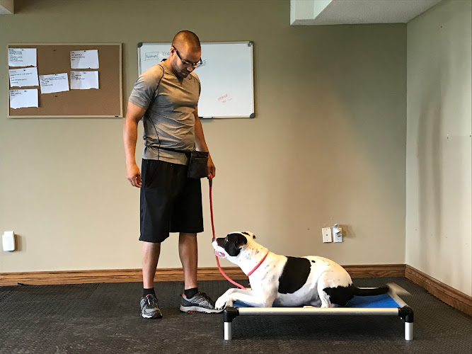 iTrainK9 Dog Training