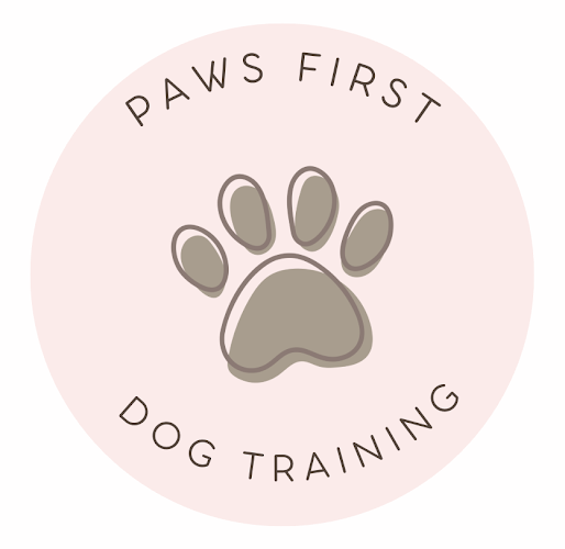 Paws First Dog Training
