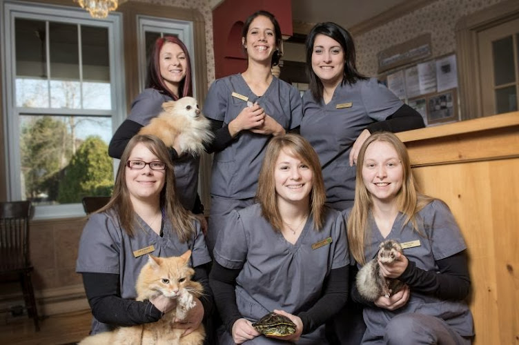Veterinary Clinic Old Dorion