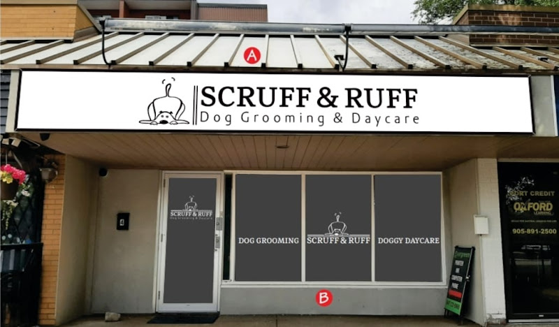 Scruff & Ruff Dog Grooming & Daycare – Clarkson