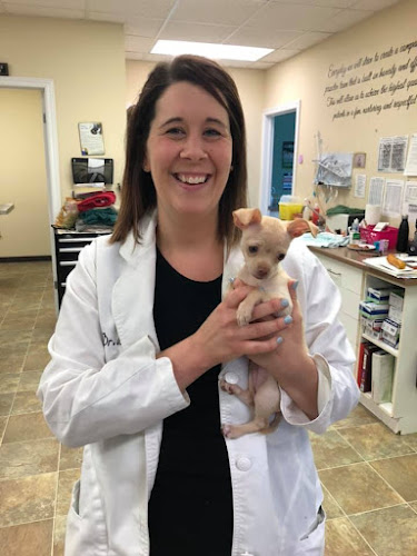 West Brant Animal Hospital