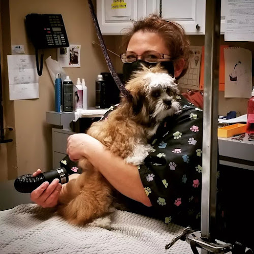 Park Road Veterinary Clinic