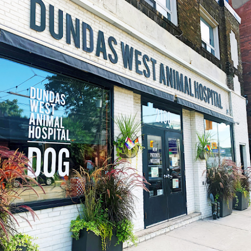 Dundas West Animal Hospital