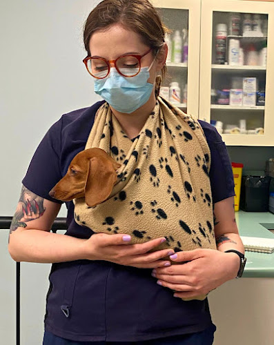 Dundas Euclid Animal Hospital