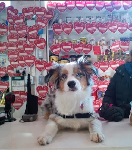 Global Pet Foods