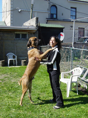Can-Do Pet Services