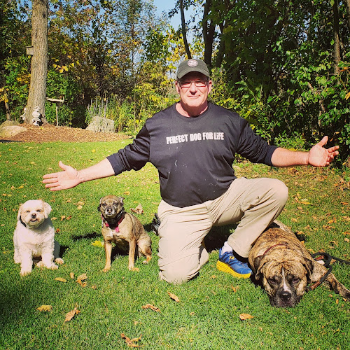 Perfect Dog For Life Off Leash K9 Training