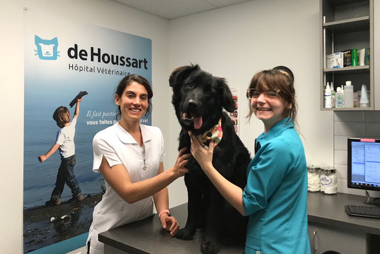 Hôpital vétérinaire de Houssart