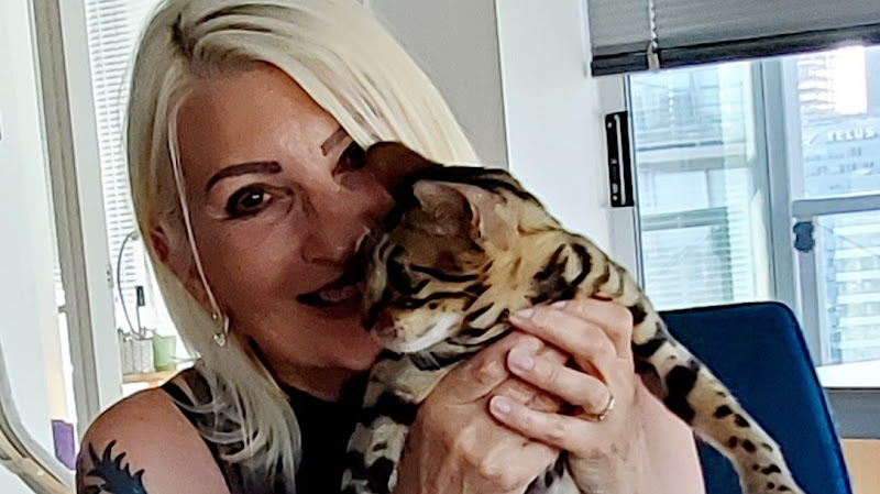 YOUR Cat Nanny Sitting Service