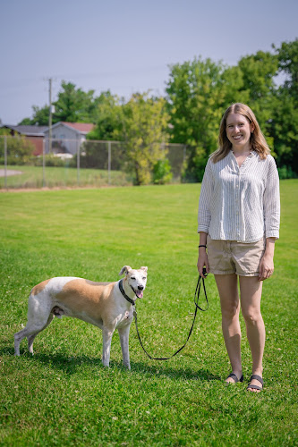 The Good Dog Collective