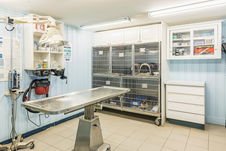 Globalvet – Veterinary Clinic Caron