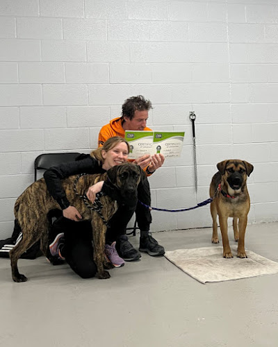 Toronto Humane Society Dog Training Services
