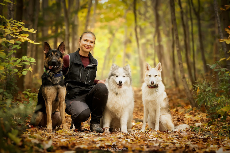 Laika Dog Training
