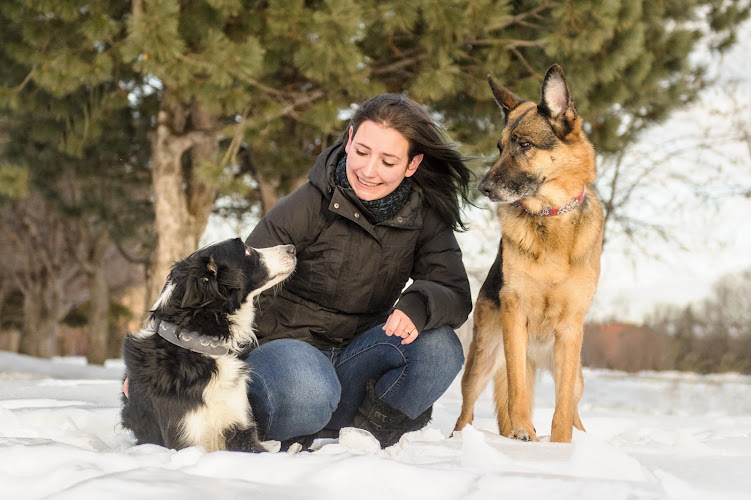 À l’Os – Comportement canin et félin