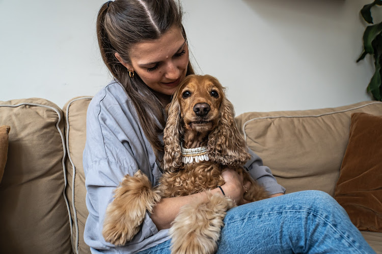 Paws Up Coach – Comportementaliste Canin