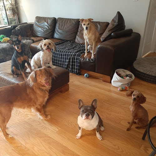 LITTLE WOOF PACK