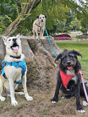 Wilke Canine Wellness