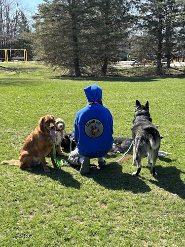 Cloud K9 Canada