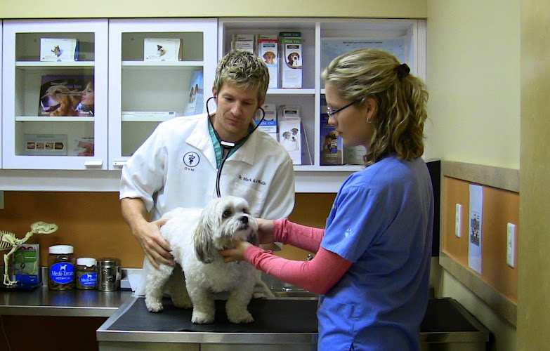 Limestone City Animal Hospital