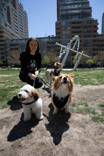 Fit Dog Club Toronto Inc. Dog Walking