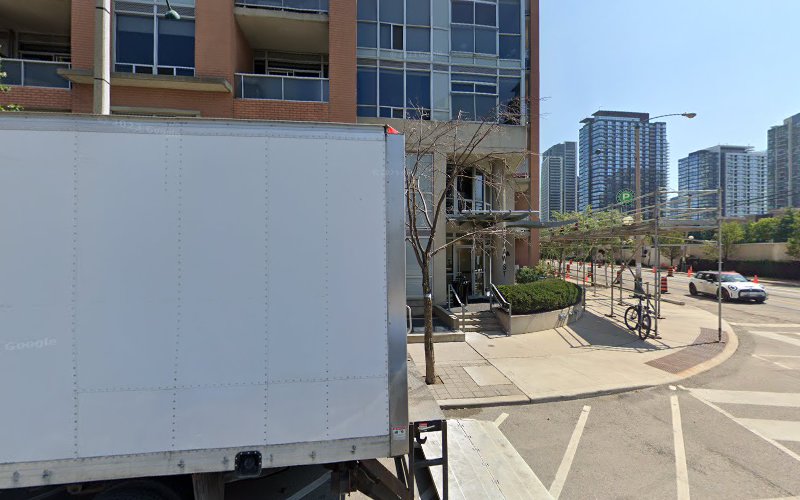 Rosie and Company Dog Walking – Liberty Village