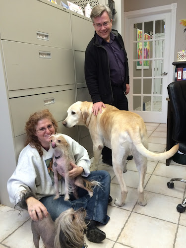 Bay Cat & Dog Hospital