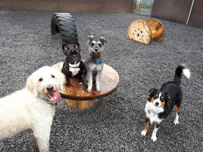 Centre Canin LeGardeur